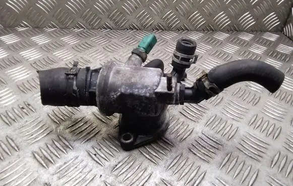 Thermostat/thermostat housing