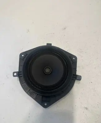Rear door speaker