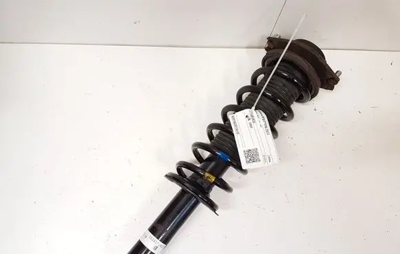 Rear shock absorber/damper