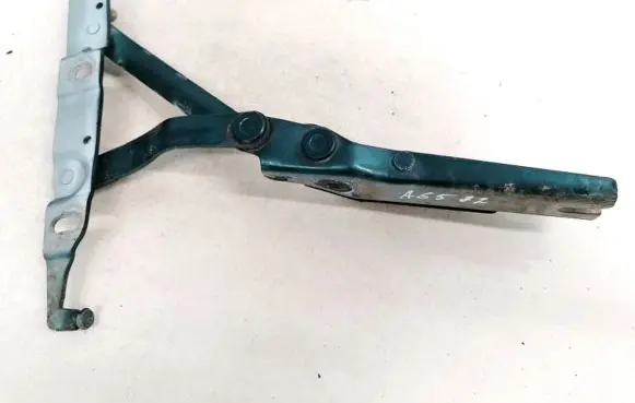 Tailgate/trunk/boot hinge