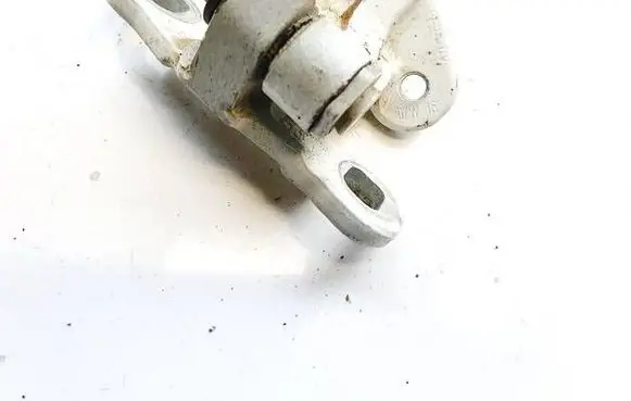 Rear door lower hinge