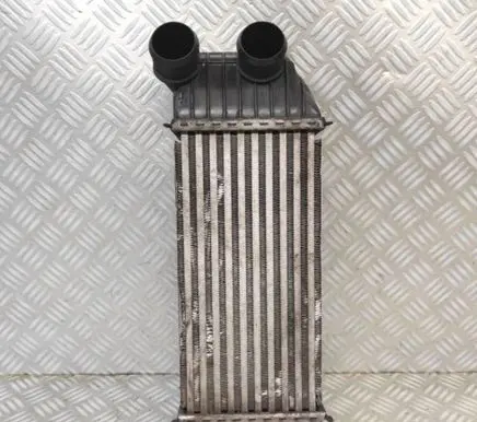 Citroen Jumpy Intercooler radiator 1440084580 X4672003