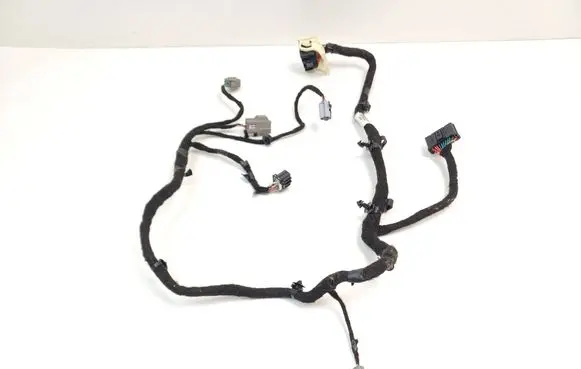 Other wiring loom