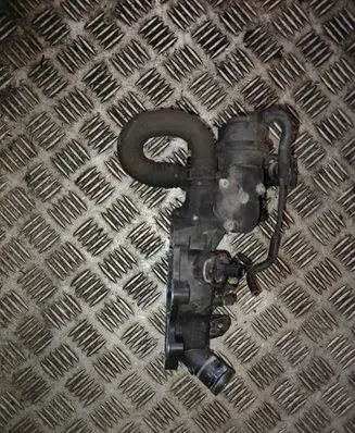 Nissan Qashqai Thermostat/thermostat housing 110601073R
