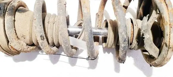 Lexus RX 300 Rear coil spring
