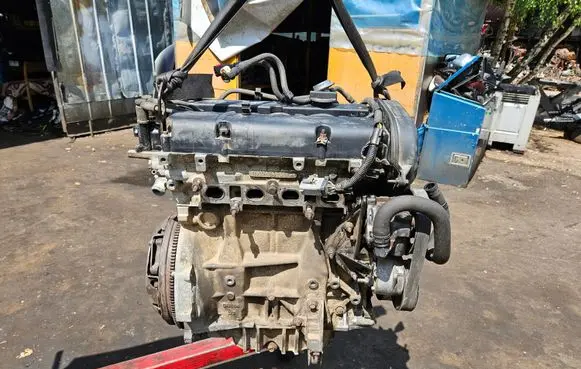 Ford Focus Engine L1W
