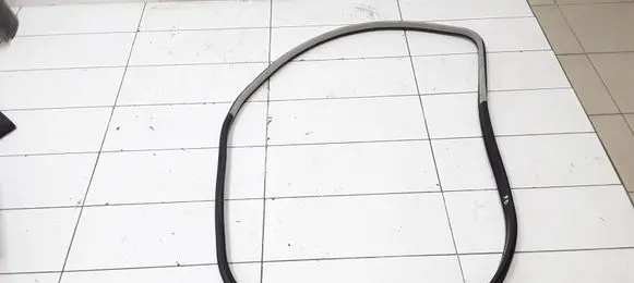 Opel Signum Front door rubber seal