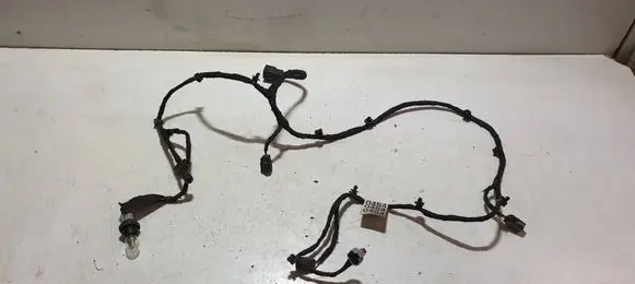 Other wiring loom