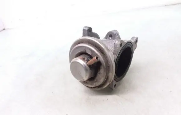 Skoda Fabia Mk1 (6Y) EGR valve 045131501F 163606117