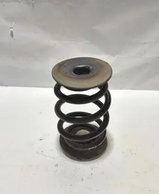 BMW Z4 E85 E86 Rear coil spring RJ6633