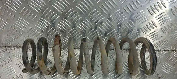 Rear coil spring