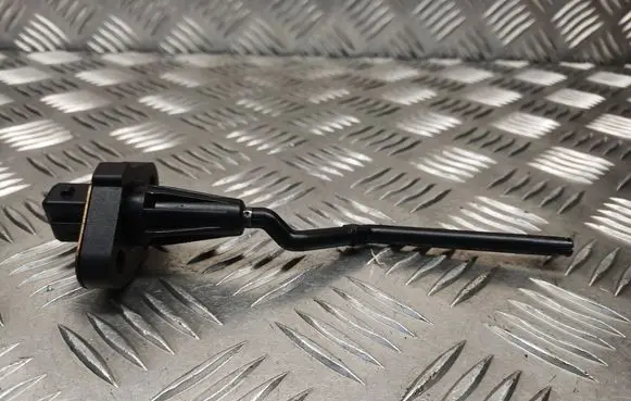 Renault Espace - Grand espace IV Oil level sensor 300829A