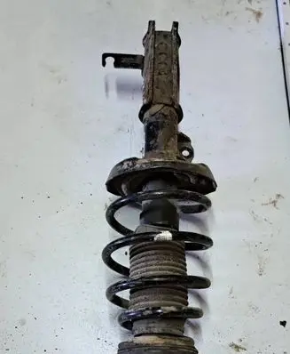 Opel Insignia A Front shock absorber/damper 13245967