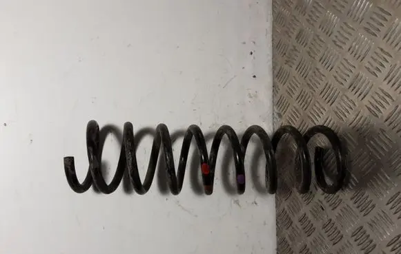 Ford Kuga II Rear coil spring