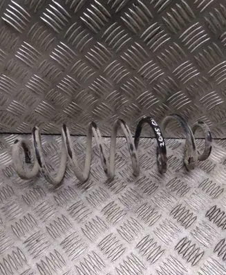 Skoda Octavia Mk2 (1Z) Rear coil spring