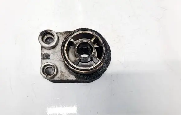 Nissan Qashqai Engine oil radiator 8200267937