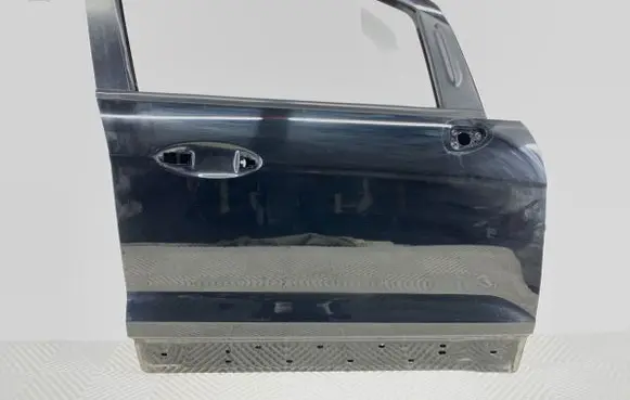 Ford Ecosport Front door 