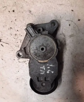 Ford Focus Alternator belt tensioner 419484