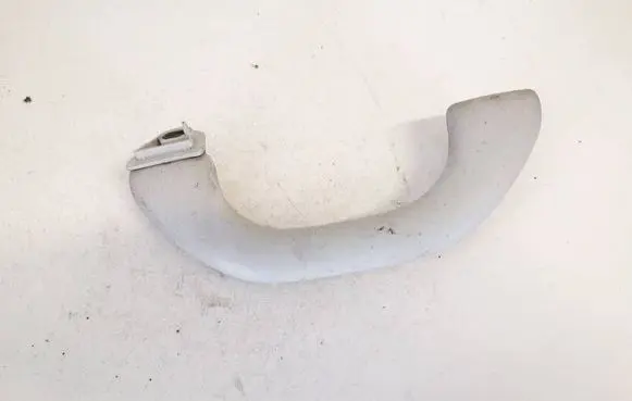 Front interior roof grab handle