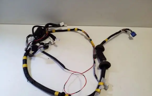 Front door wiring loom