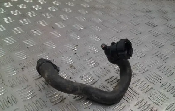 Citroen Berlingo Engine coolant pipe/hose 9684684280