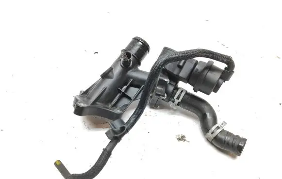 Thermostat/thermostat housing