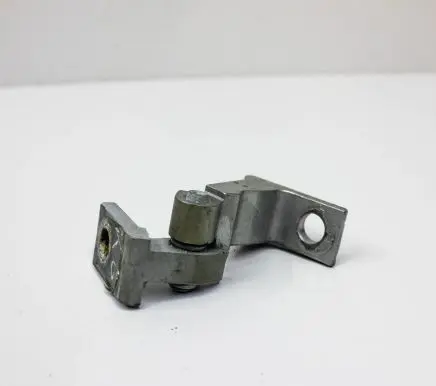 Rear door lower hinge