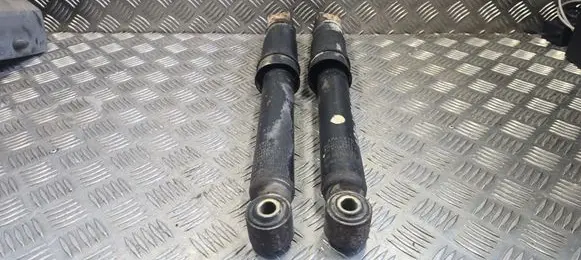 Opel Vivaro Rear shock absorber/damper 91165837