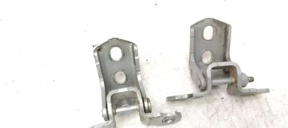 Renault Laguna III Front door hinge set TED69