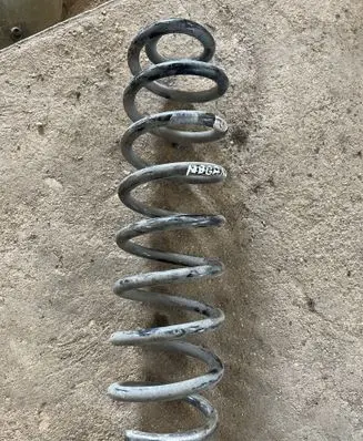 Rear coil spring