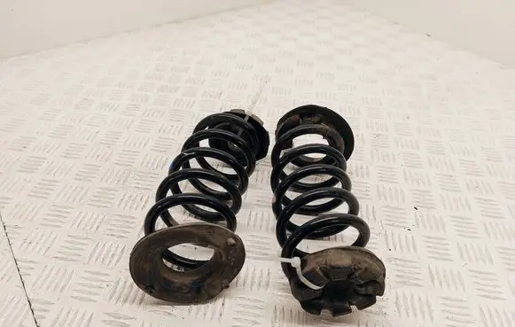 Renault Clio IV Rear coil spring 