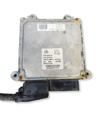 Mercedes-Benz Sprinter W906 Engine control unit/module A6519000700 28429285 A6519010600
