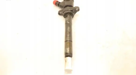 Ford Focus Fuel injector 0445110239