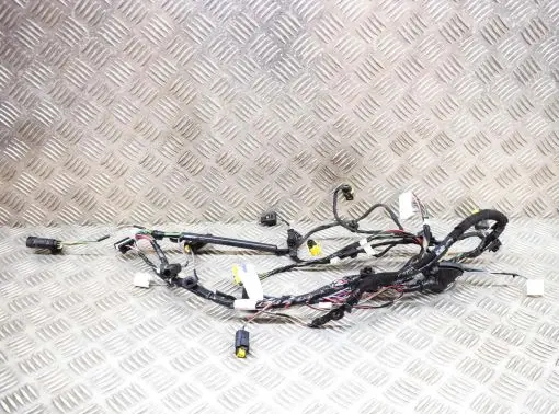 Tesla Model X Other wiring loom 203244200A