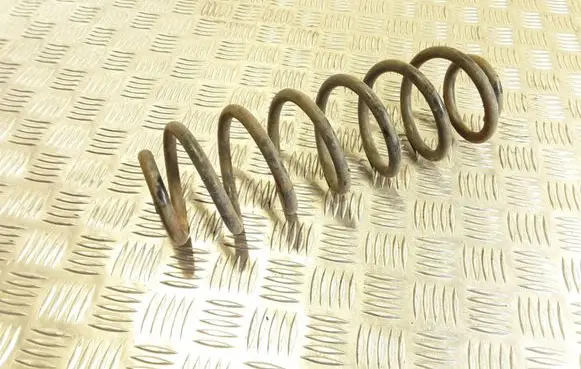 Volkswagen Golf V Rear coil spring