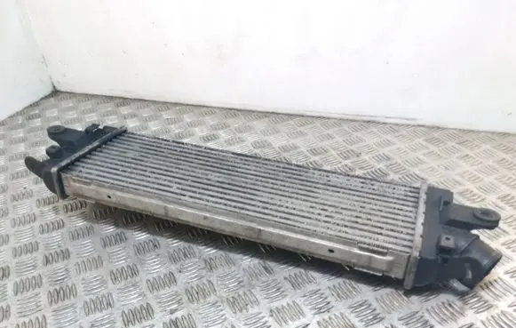 Renault Trafic II (X83) Intercooler radiator 8200411160 93854162