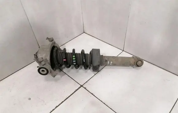 Porsche Cayenne (92A) Rear shock absorber with coil spring 95833305100