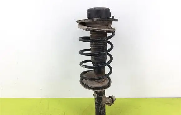Peugeot 206 Front shock absorber with coil spring