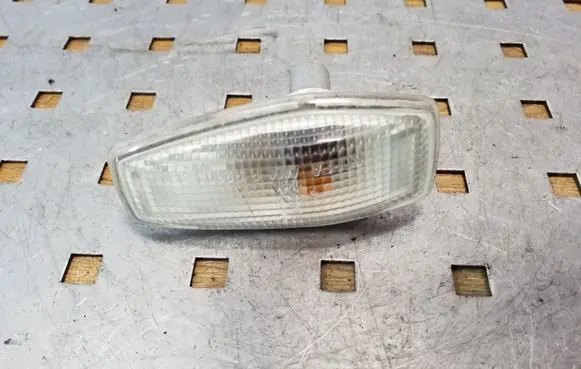 Front fender indicator light