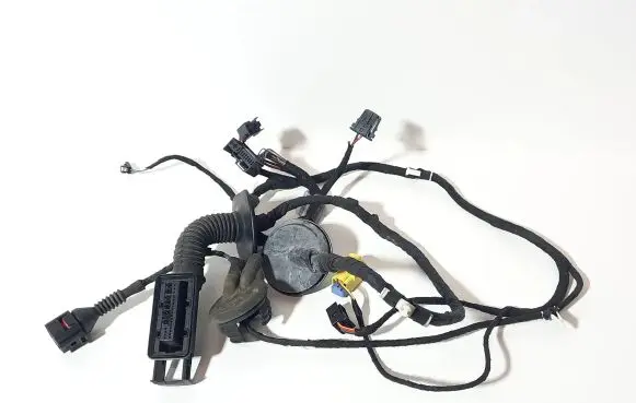 Front door wiring loom