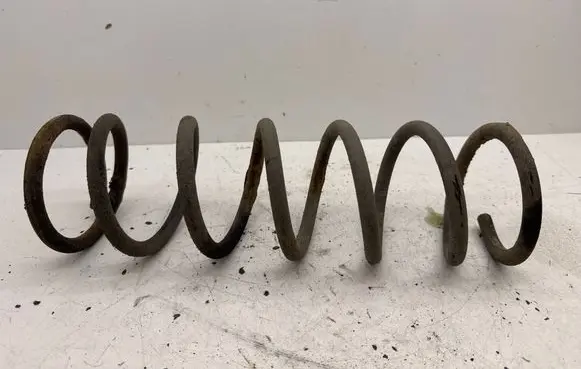 Rear coil spring