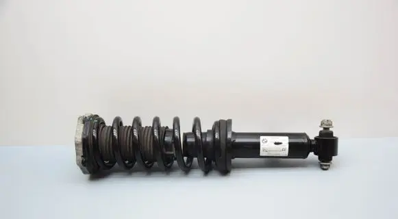 Rear shock absorber/damper