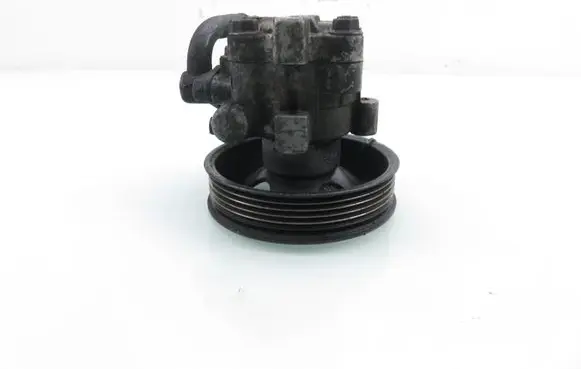 Hyundai Santa Fe Power steering pump 