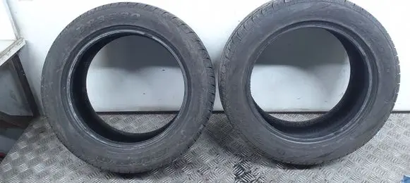 Volkswagen Polo IV 9N3 R15 summer tire DP3000 19555R15