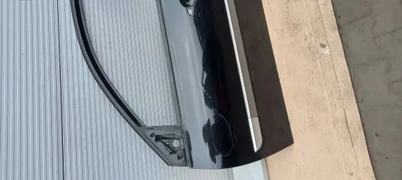 Renault Megane II Front door