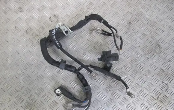Toyota C-HR I Negative earth cable (battery) 82123F4010