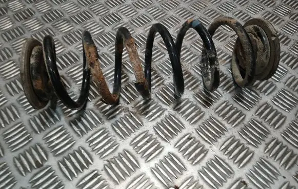 Rear coil spring