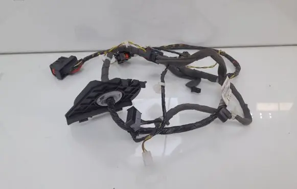 Front door wiring loom