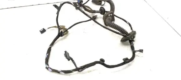 Rear door wiring loom
