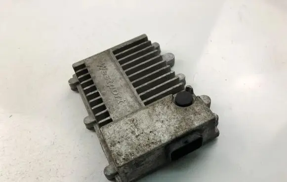 Engine control unit/module ECU